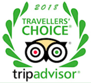 trip advisor