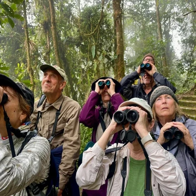 Walking in nature tour